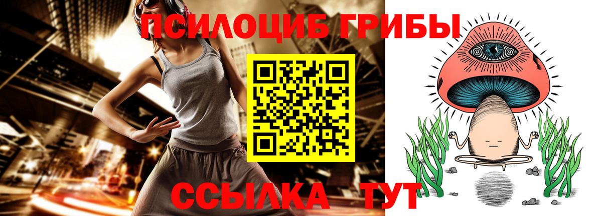 Псилоцибиновые грибы Cubensis Великий Новгород